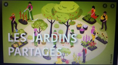 Les jardins ÉCO, Communautaires associatifs de St-Bénézet